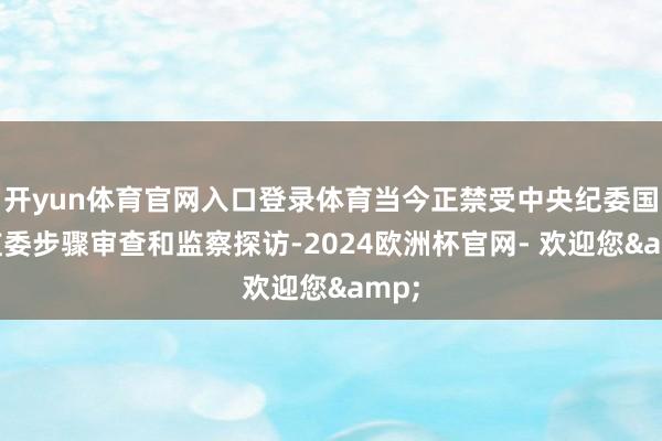 开yun体育官网入口登录体育当今正禁受中央纪委国度监委步骤审查和监察探访-2024欧洲杯官网- 欢迎您&