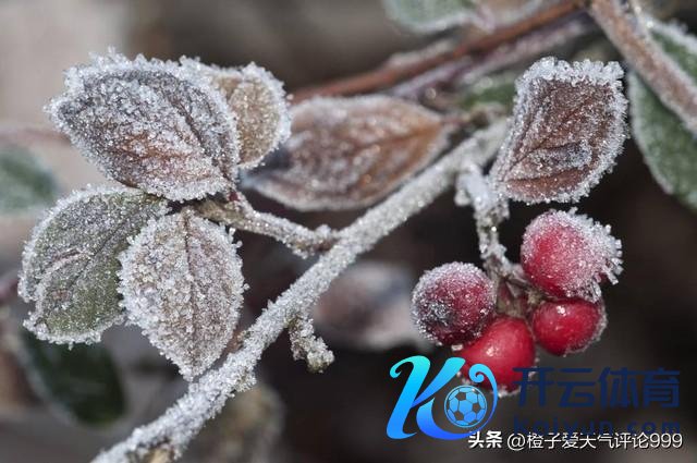 两股冷空气将先后影响我国 局地降温超20℃，大面积雨雪来袭