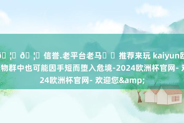 🦄🦄信誉.老平台老马✔️推荐来玩 kaiyun欧洲杯app在怪物群中也可能因手短而堕入危境-2024欧洲杯官网- 欢迎您&