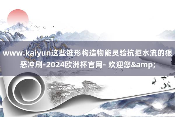 www.kaiyun这些锥形构造物能灵验抗拒水流的狠恶冲刷-2024欧洲杯官网- 欢迎您&