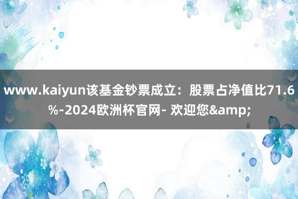 www.kaiyun该基金钞票成立：股票占净值比71.6%-2024欧洲杯官网- 欢迎您&