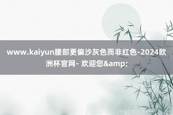 www.kaiyun腰部更偏沙灰色而非红色-2024欧洲杯官网- 欢迎您&